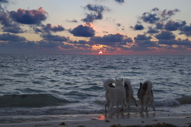 Puerto Morelos