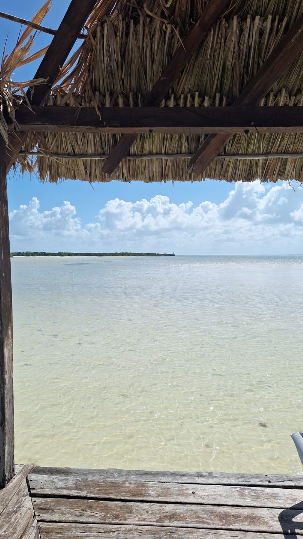 foto de hol-box en la riviera maya y una palapa