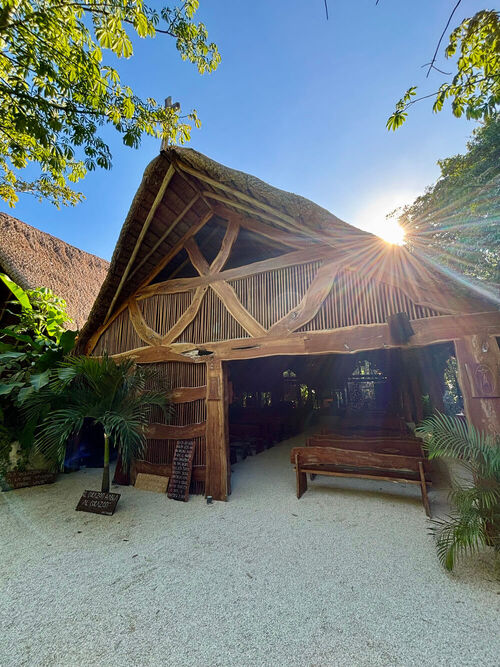 Vegetación y caminos